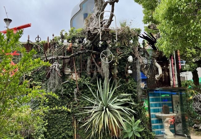 🖼️ 메콘 이미지 1